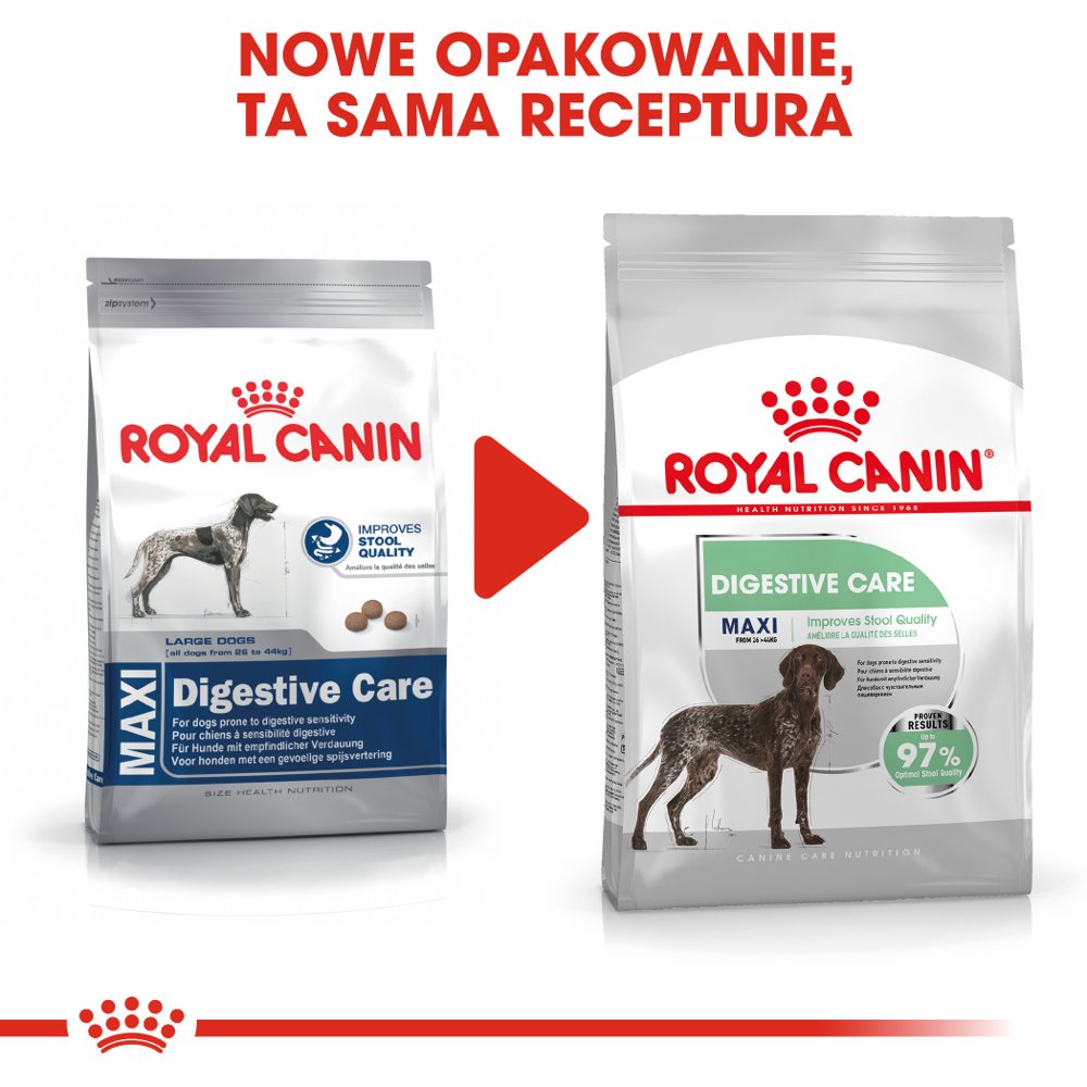 Royal Canin CCN Maxi Digestive Care Pełnoporcjowa karma dla psów dużych ras o wrażliwym układzie pokarmowym 12kg