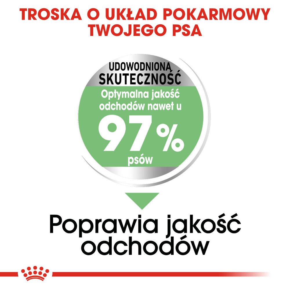 Royal Canin CCN Maxi Digestive Care Pełnoporcjowa karma dla psów dużych ras o wrażliwym układzie pokarmowym 12kg