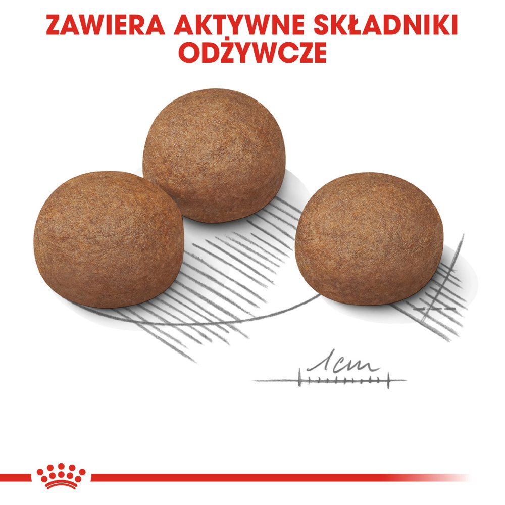 Royal Canin CCN Maxi Digestive Care Pełnoporcjowa karma dla psów dużych ras o wrażliwym układzie pokarmowym 12kg