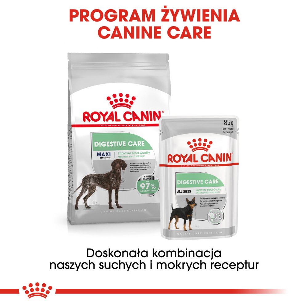 Royal Canin CCN Maxi Digestive Care Pełnoporcjowa karma dla psów dużych ras o wrażliwym układzie pokarmowym 12kg
