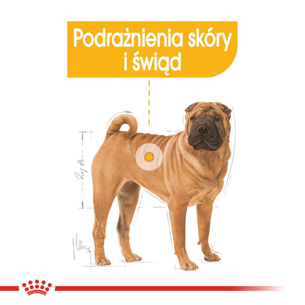 ROYAL CANIN CCN Medium Dermacomfort 12kg