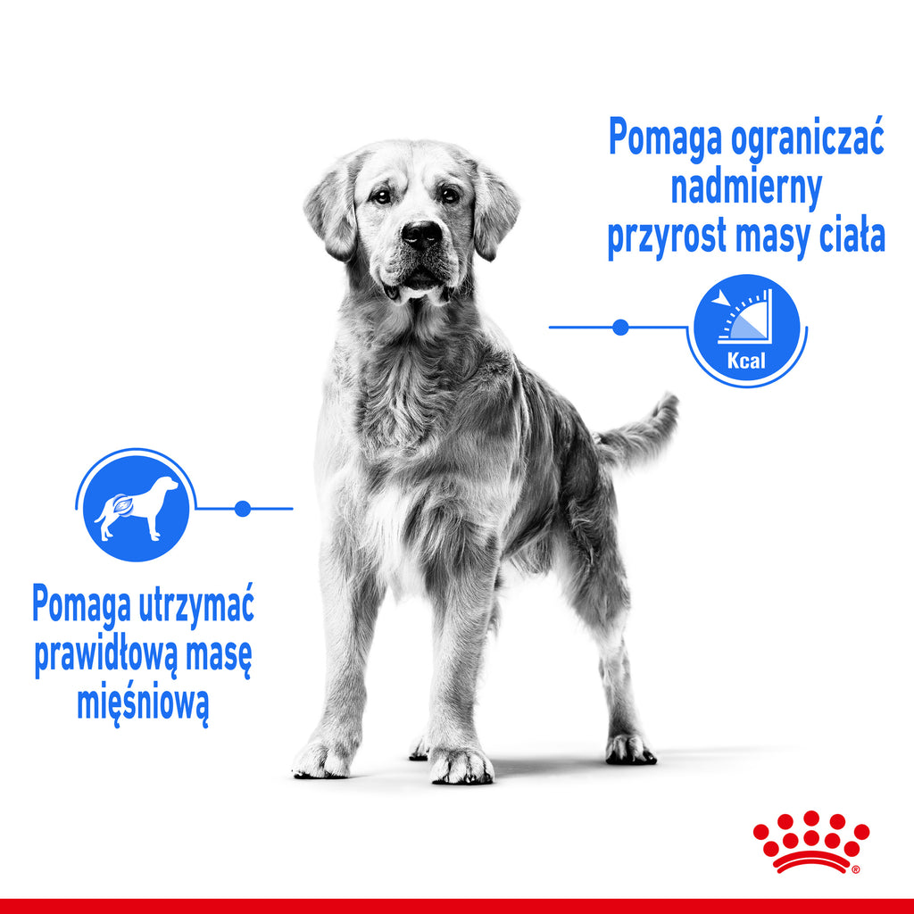 Royal Canin CCN Medium Light Weight Care Pełnoporcjowa karma dla psów dorosłych z tendencją do nadwagi 12kg