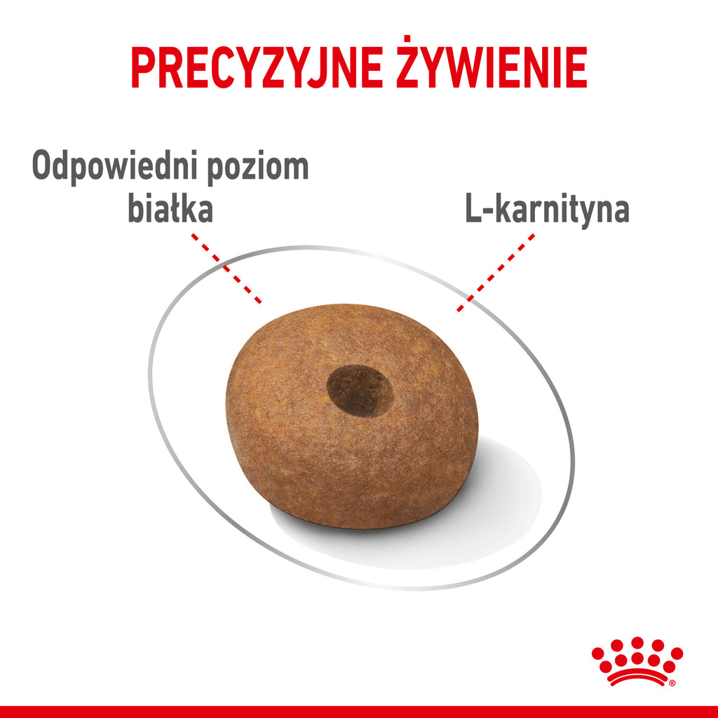 Royal Canin CCN Medium Light Weight Care Pełnoporcjowa karma dla psów dorosłych z tendencją do nadwagi 12kg