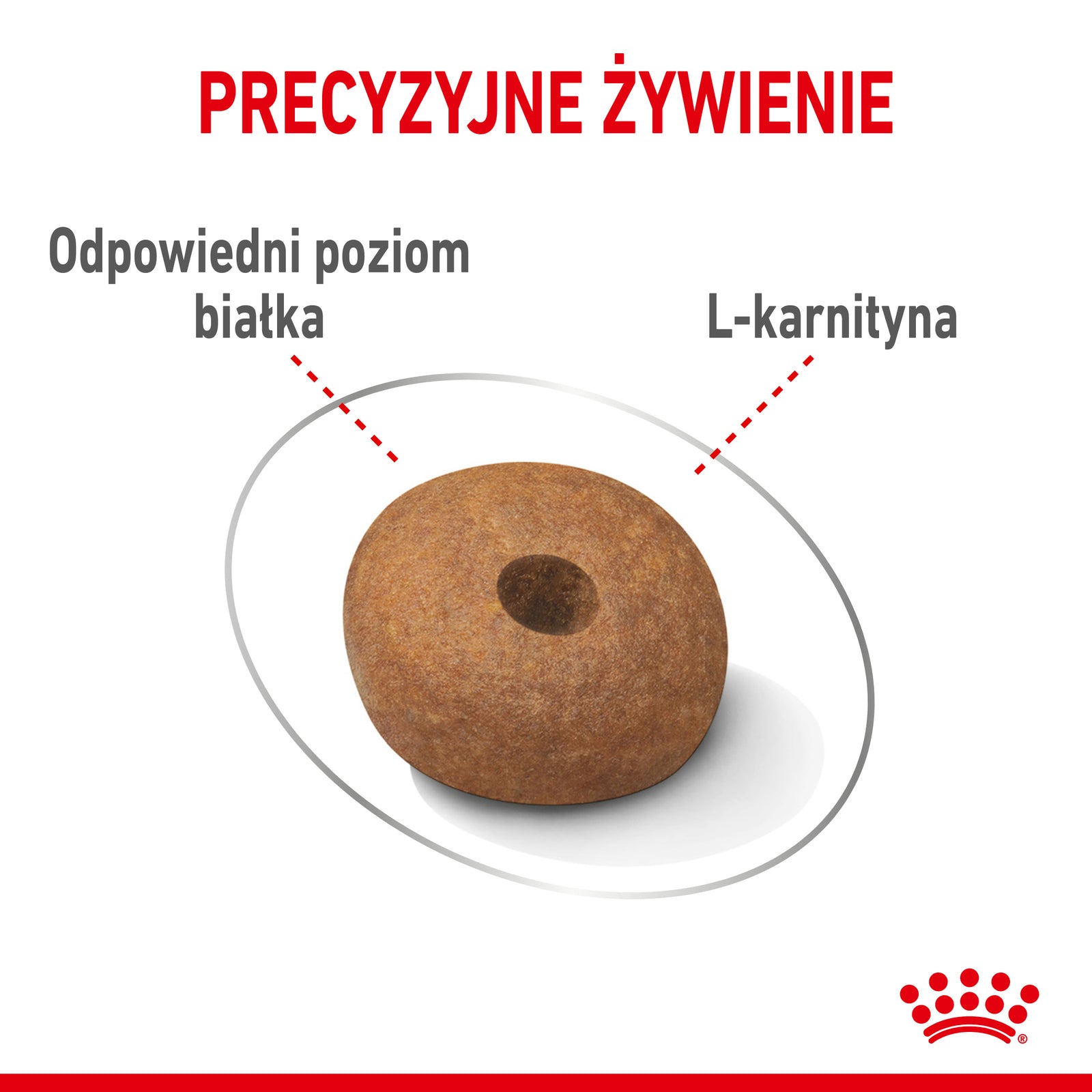 Royal Canin CCN Medium Light Weight Care Pełnoporcjowa karma dla psów dorosłych z tendencją do nadwagi 12kg