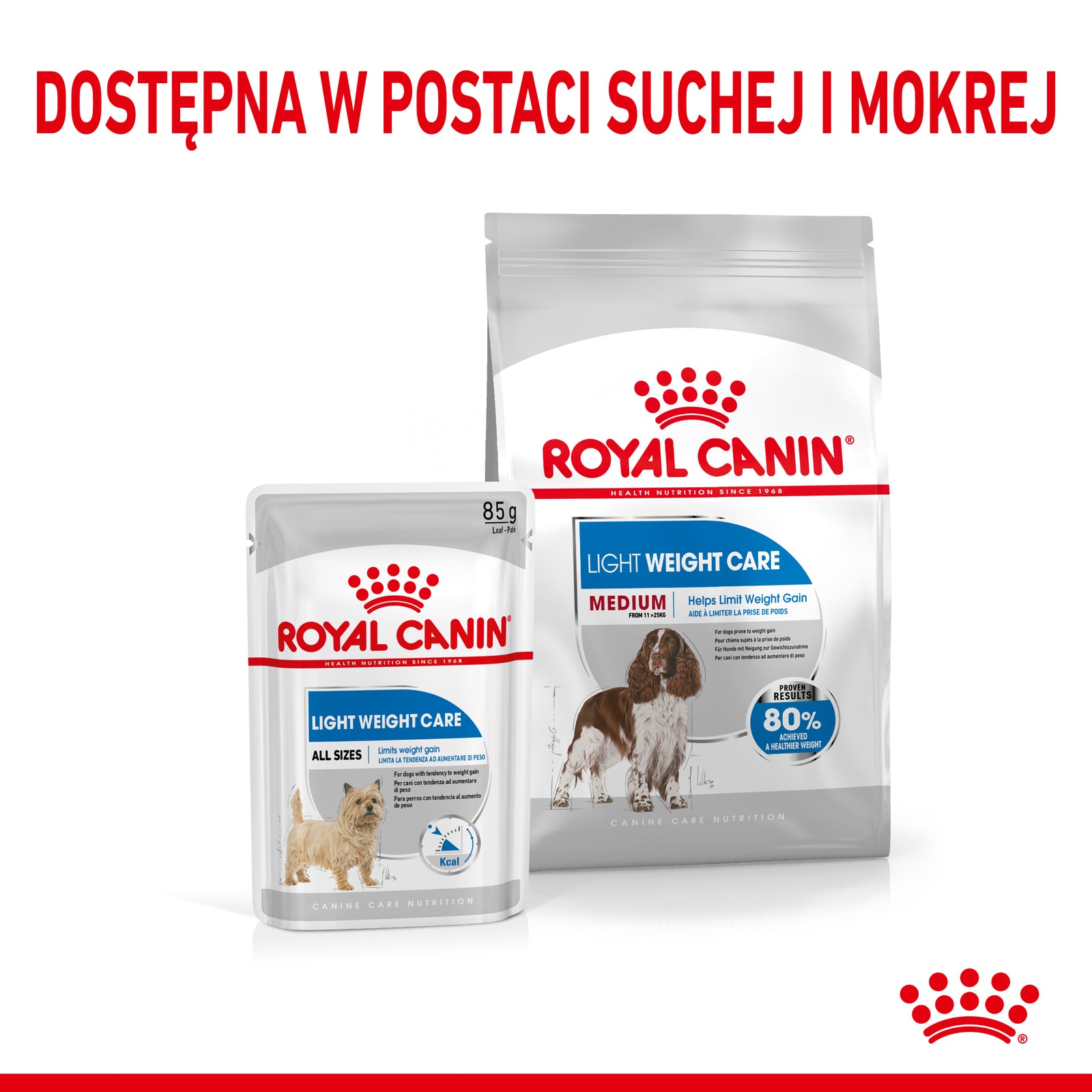 Royal Canin CCN Medium Light Weight Care Pełnoporcjowa karma dla psów dorosłych z tendencją do nadwagi 12kg
