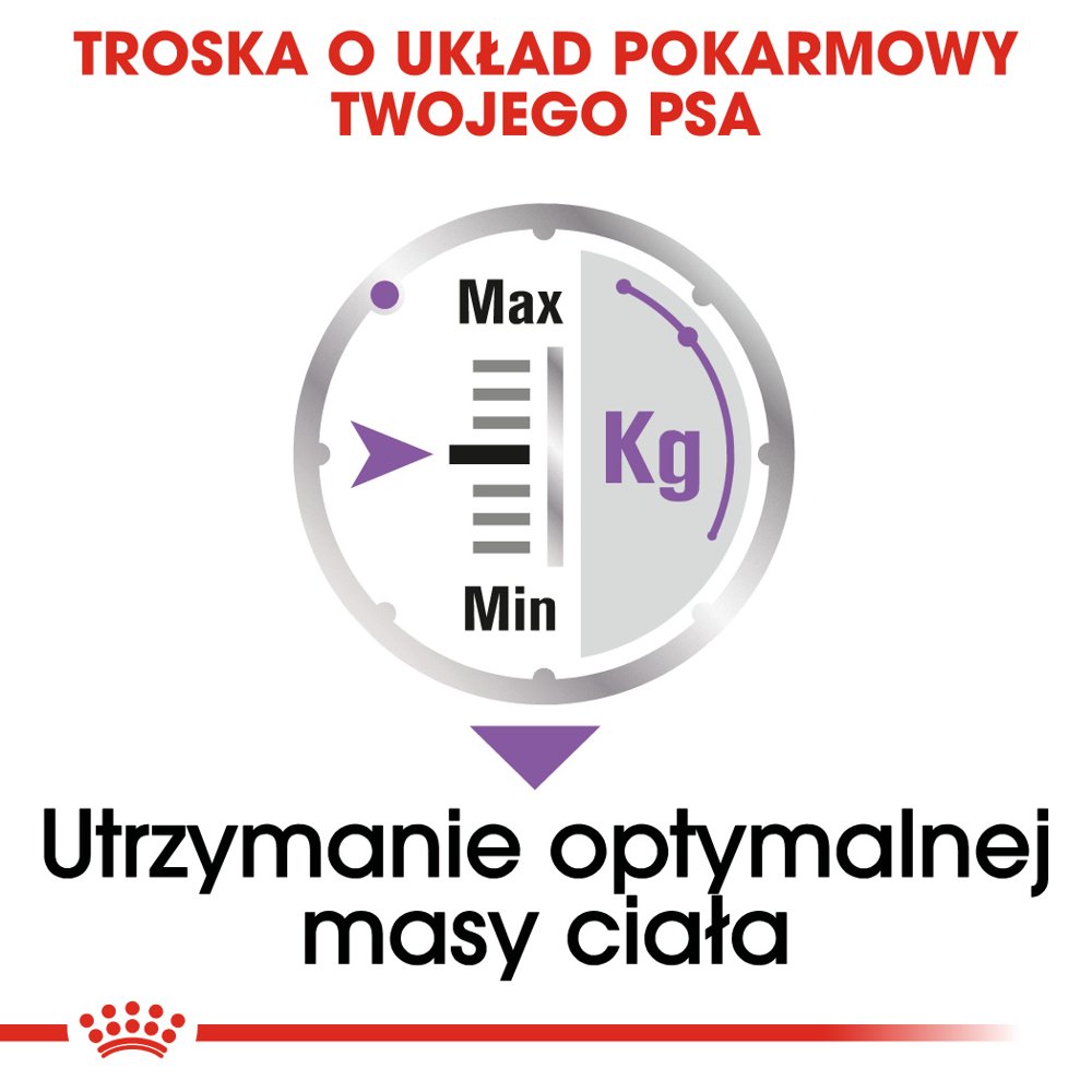 ROYAL CANIN CCN Sterilised Mini Pasztet 12x85g