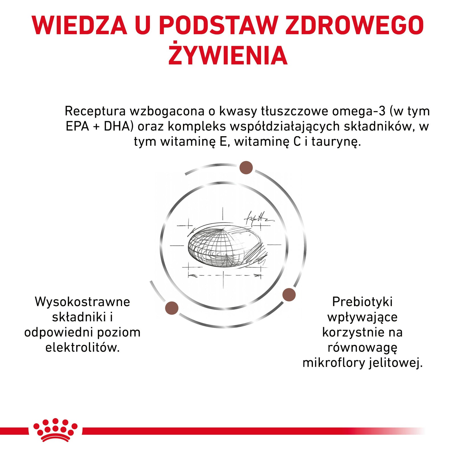 ROYAL CANIN Gastrointestinal Low Fat 12kg