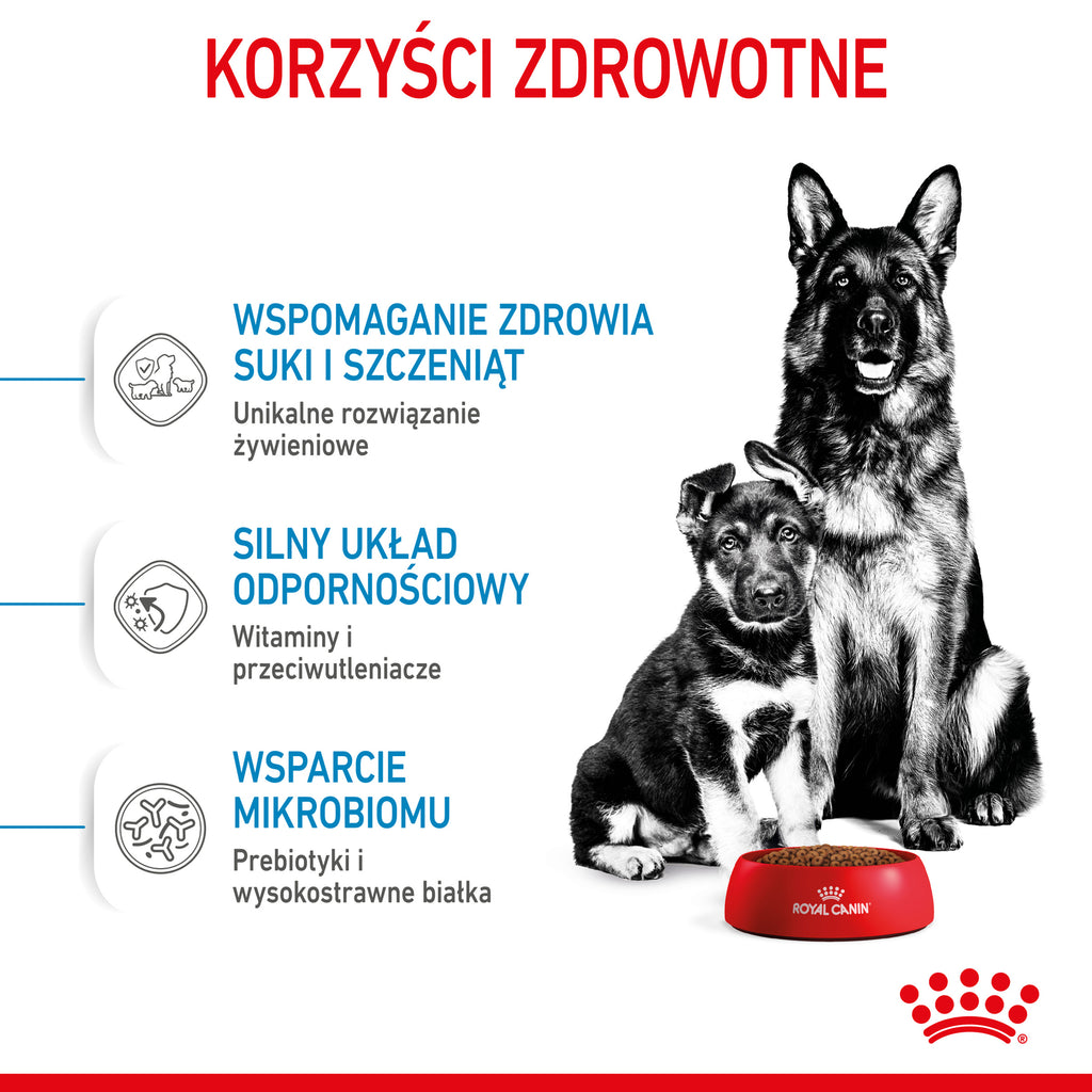 ROYAL CANIN Maxi Starter Mother & Babydog 15kg