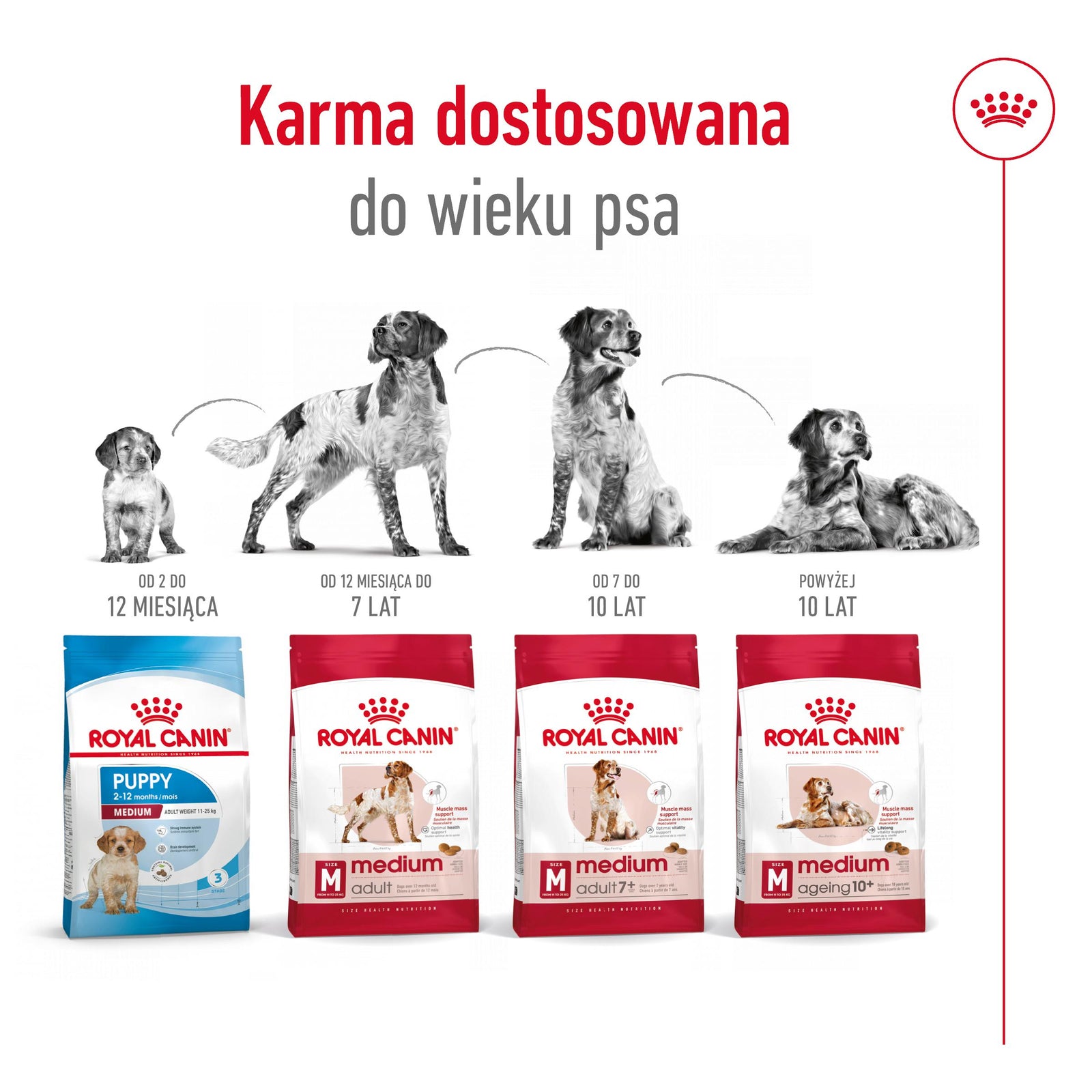 ROYAL CANIN Medium Adult 15kg