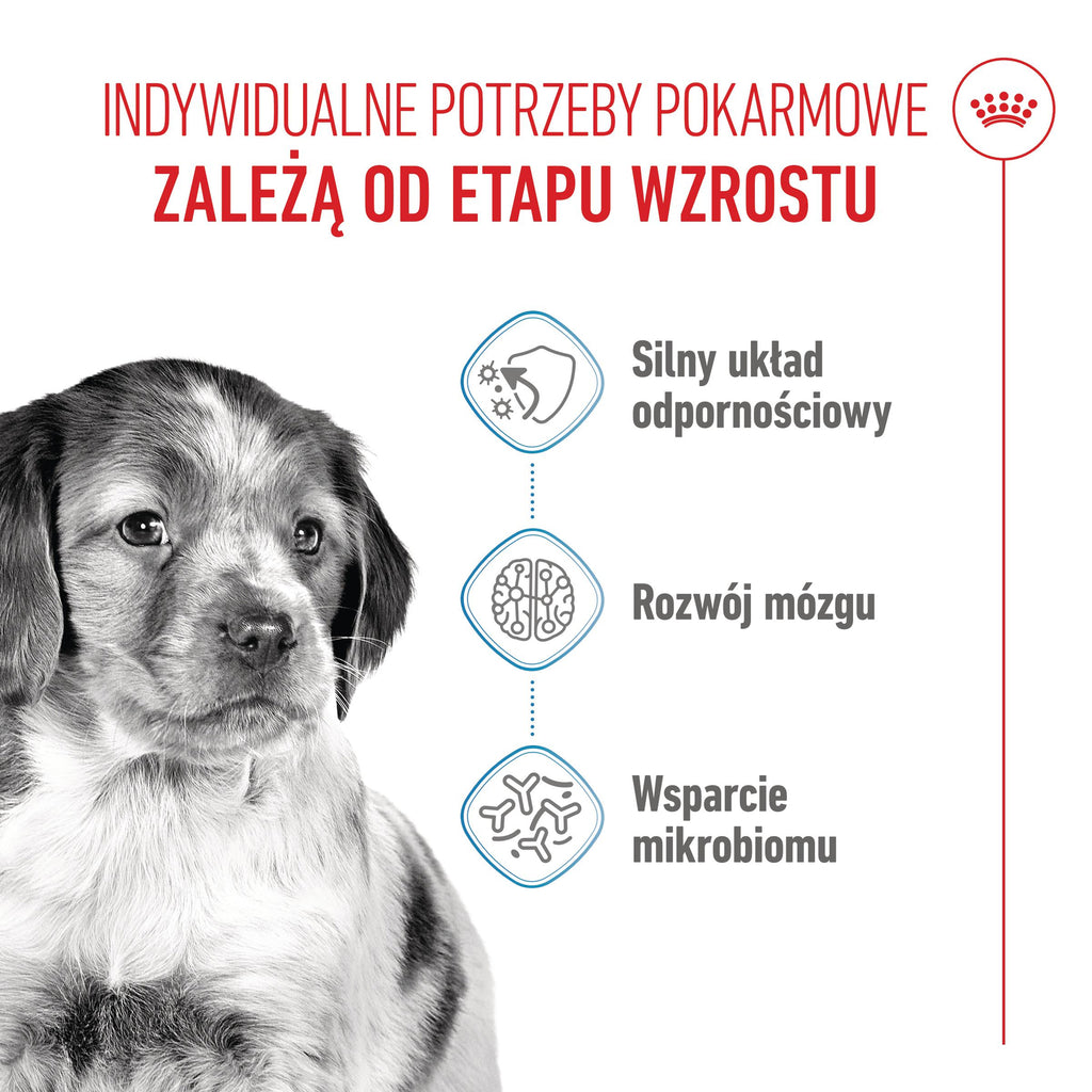 ROYAL CANIN Medium Puppy 15kg