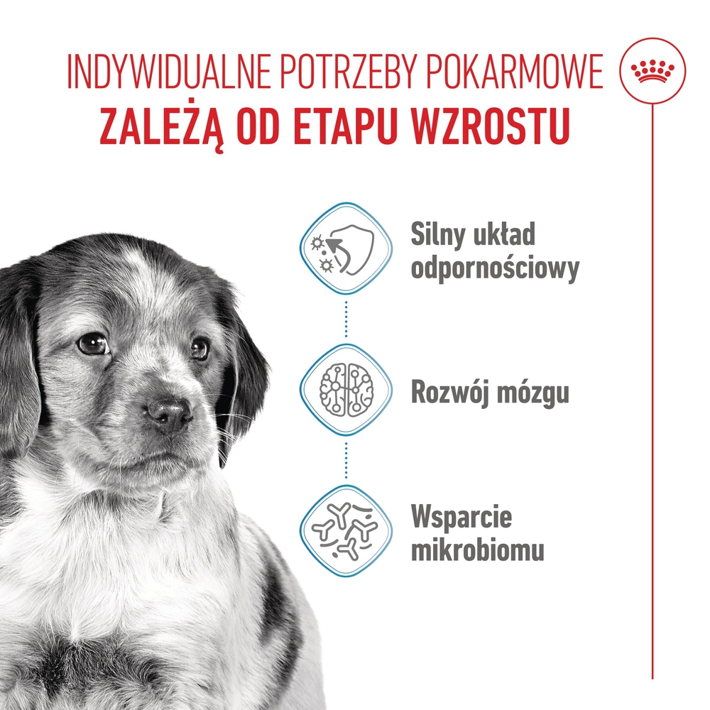 ROYAL CANIN Medium Puppy 4kg