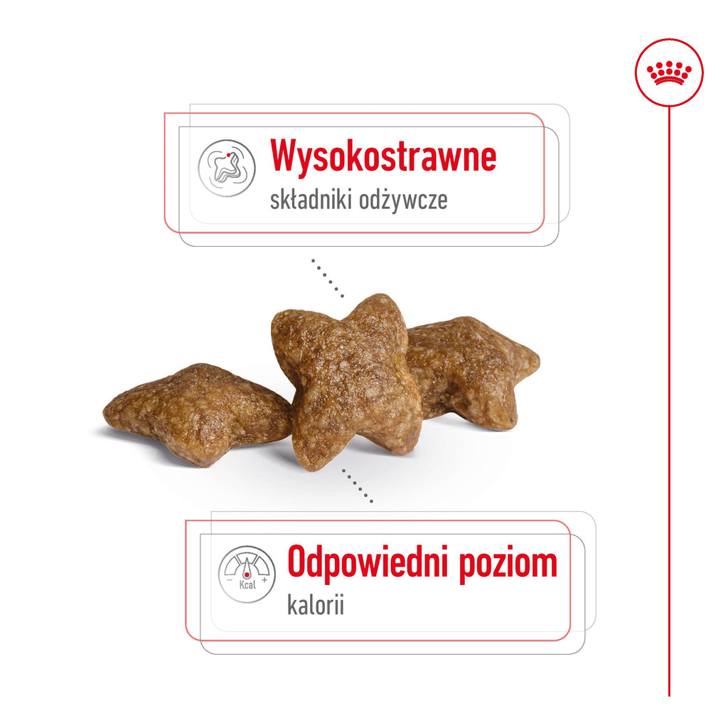 ROYAL CANIN Mini Adult 8kg