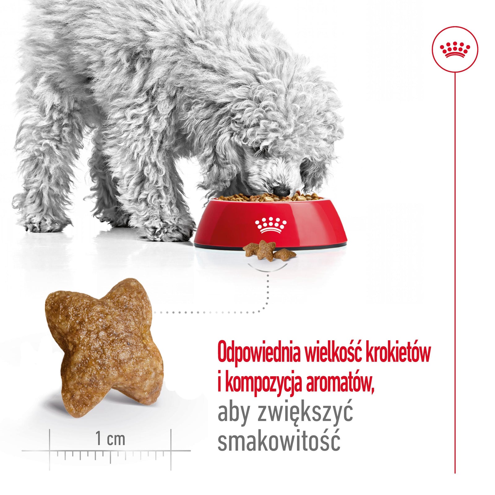 ROYAL CANIN Mini Adult 8kg