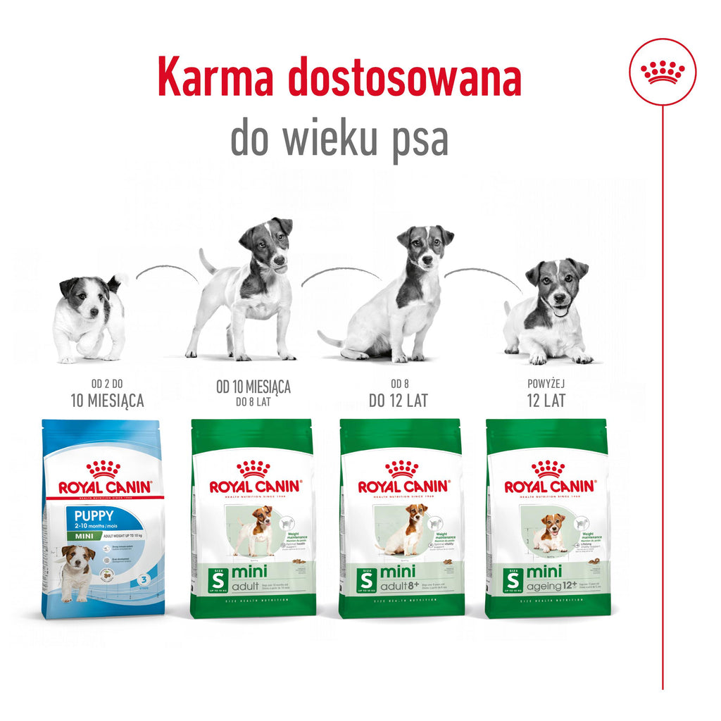 ROYAL CANIN Mini Adult 8kg