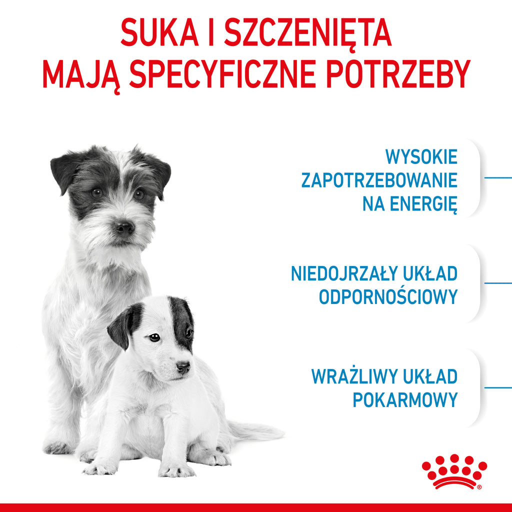Royal Canin Mini Starter Mother & Babydog Pełnoporcjowa karma dla suk w ciąży oraz szczeniąt do 2 miesiąca życia 8kg