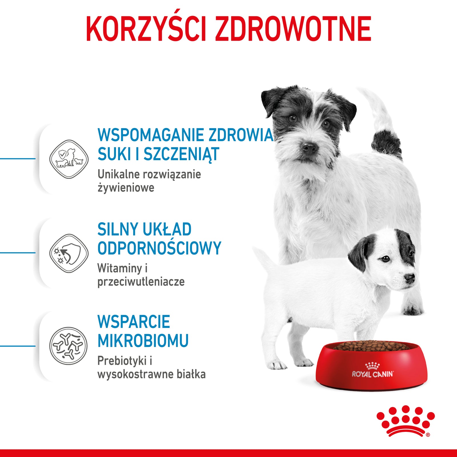 Royal Canin Mini Starter Mother & Babydog Pełnoporcjowa karma dla suk w ciąży oraz szczeniąt do 2 miesiąca życia 8kg