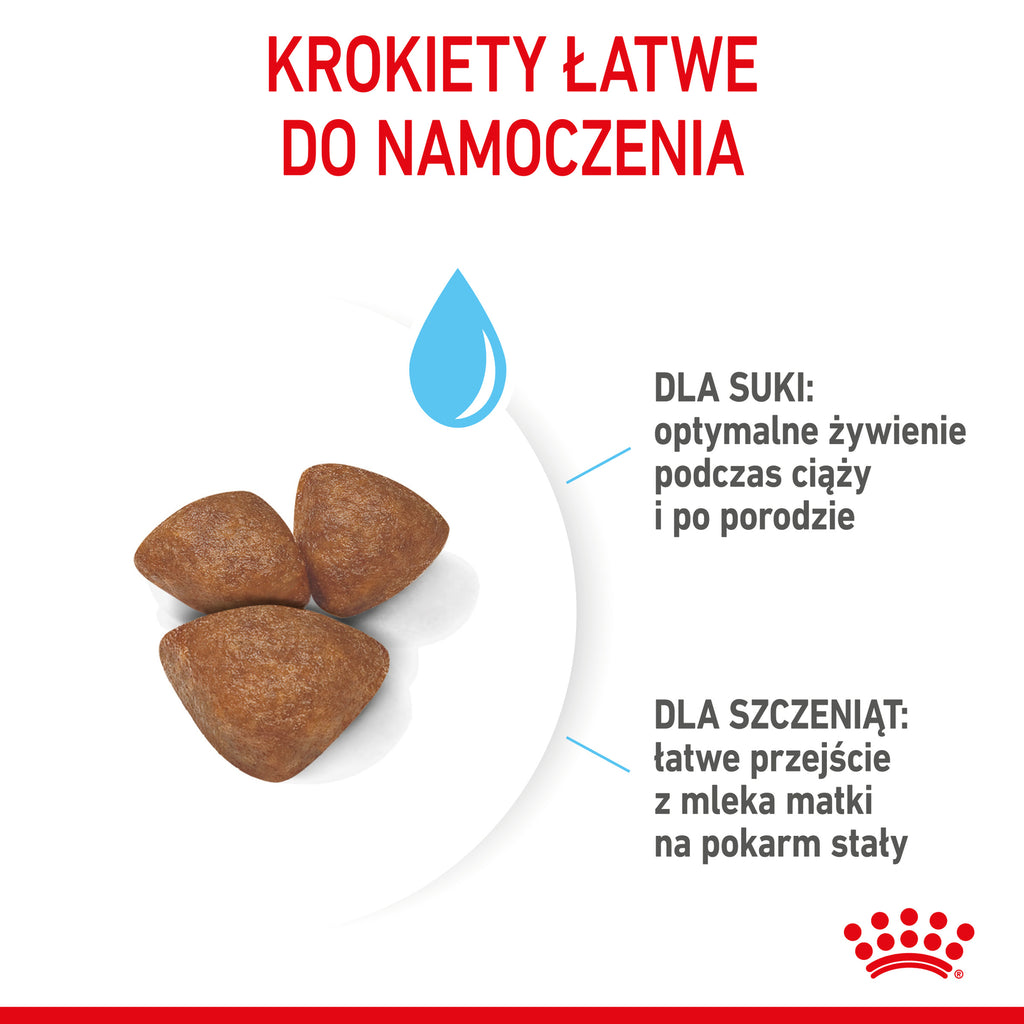 Royal Canin Mini Starter Mother & Babydog Pełnoporcjowa karma dla suk w ciąży oraz szczeniąt do 2 miesiąca życia 8kg