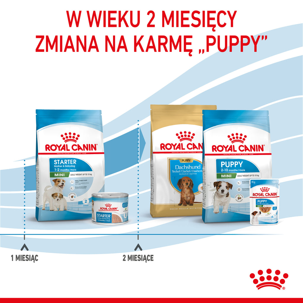 Royal Canin Mini Starter Mother & Babydog Pełnoporcjowa karma dla suk w ciąży oraz szczeniąt do 2 miesiąca życia 8kg