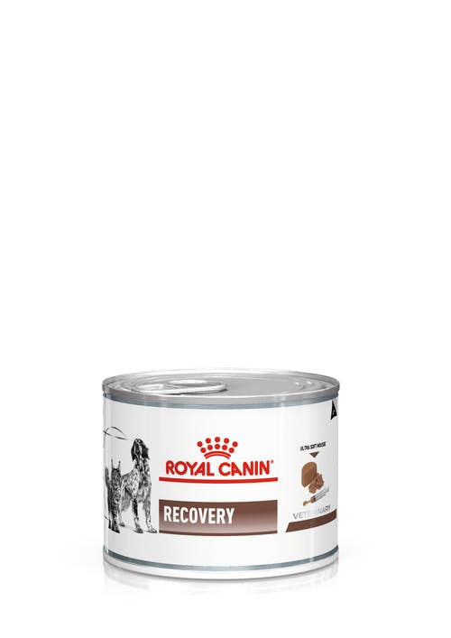 ROYAL CANIN Recovery 195g