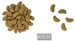 ROYAL CANIN Renal Select Canine 2kg