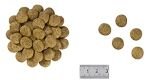 ROYAL CANIN Renal Special Canine 2kg