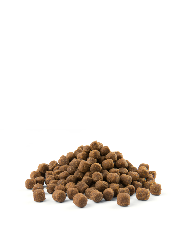 Versele-Laga Opti Life Adult Digestion Mini Jagnięcina Z Ryżem 7,5kg