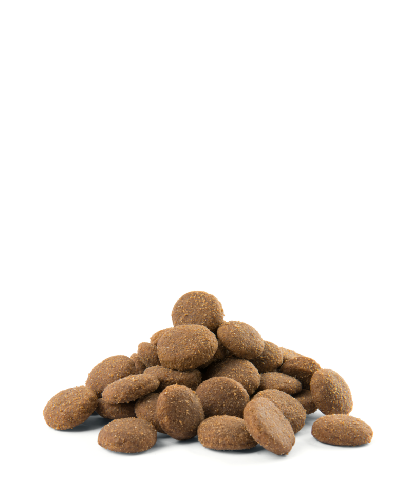 Versele-Laga Opti Life Adult Maxi Kurczak Z Ryżem 12,5kg