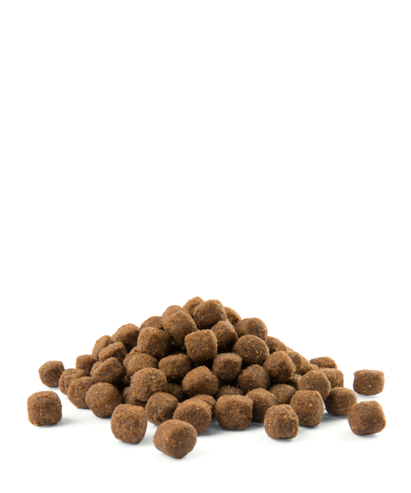 Versele-Laga Opti Life Adult Medium Z Kurczakiem I Ryżem 12,5kg