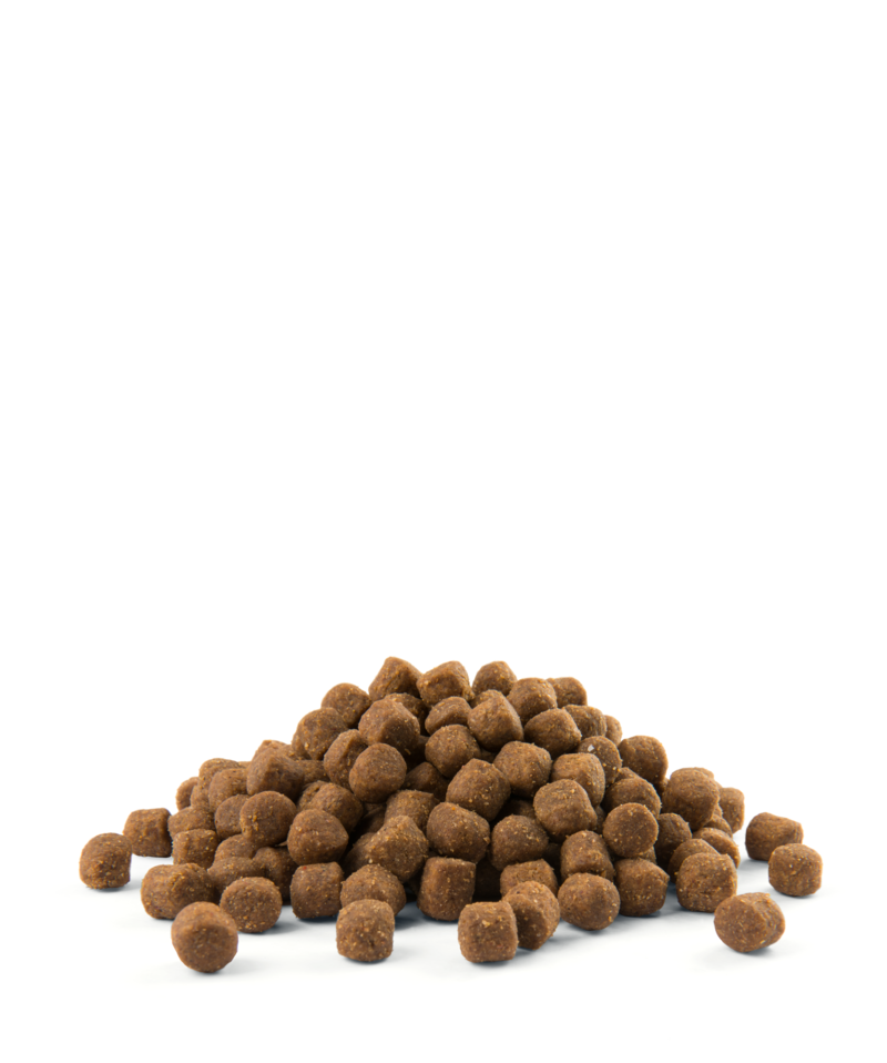 Versele-Laga Opti Life Puppy Sensitive Łosoś Z Ryżem 12,5kg