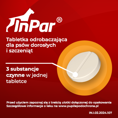 Vet-Agro InPar Tabletki Odrobaczające Dla Psa 2szt