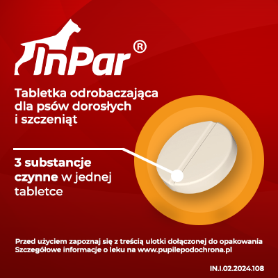 Tabletki Odrobaczające Dla Psa 6szt