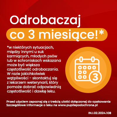 Tabletki Odrobaczające Dla Psa 6szt