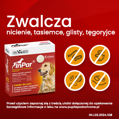 Tabletki Odrobaczające Dla Psa 6szt